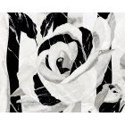 Emil Ceramica Tele di Marmo Selection EJVQ Fliesen 60x120-Lappato-Inlay – Emilceramica